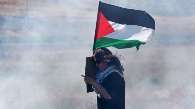 فتاة تحمل العلم الفلسطيني (صورة أرشيفية)